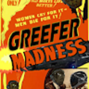 Meet your Posher, Jared